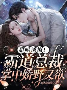甜哄诱撩!霸道总裁掌中娇野又欲 甜哄诱撩!霸道总裁掌中娇野又欲