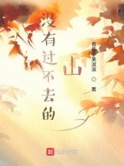 民国之谍影风云百度百科