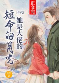 我的冰山总裁老婆TXT免费