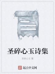 圣碎心玉诗集