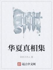 华夏真相集 华夏真相集