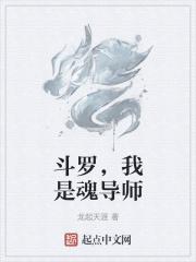 斗罗,我是魂导师 斗罗,我是魂导师