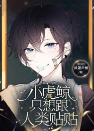 小虎鲸只想跟人类贴贴 小虎鲸只想跟人类贴贴