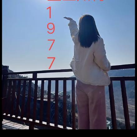 重生知青1977 重生知青1977