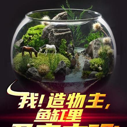 我!造物主,鱼缸里孕育文明! 我!造物主,鱼缸里孕育文明!