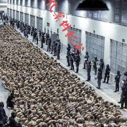 开局在怪兽墓场的奥特曼