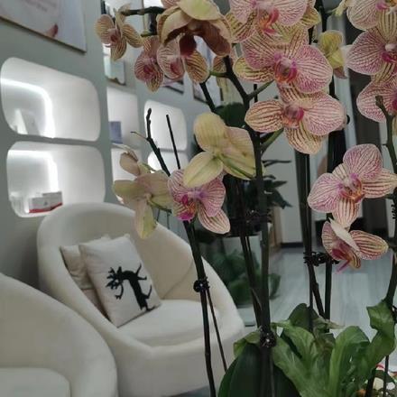 阴阳摸诡人免费阅读