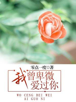 再见贺之昭柏君txt 再见贺之昭柏君txt