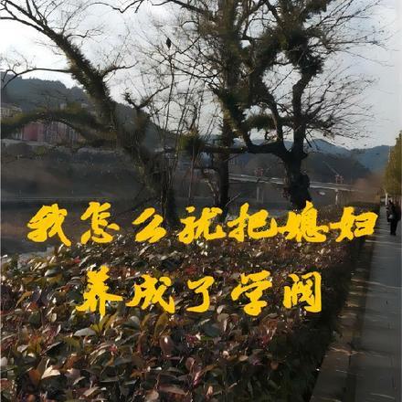 我怎么就把媳妇养成了学阀 我怎么就把媳妇养成了学阀