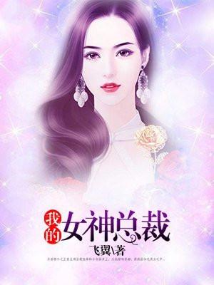 我的冷艳总裁老婆简介