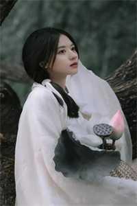 大明皇太孙日常免费